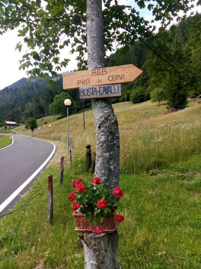B&B Pra' Dei Cervi Telve Exteriör bild
