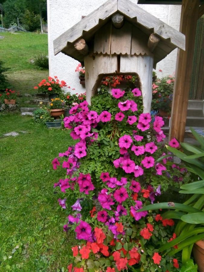 B&B Pra' Dei Cervi Telve Exteriör bild