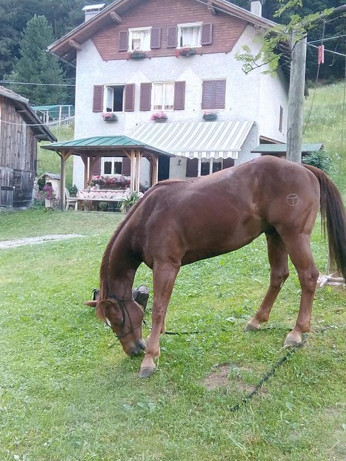 B&B Pra' Dei Cervi Telve Exteriör bild