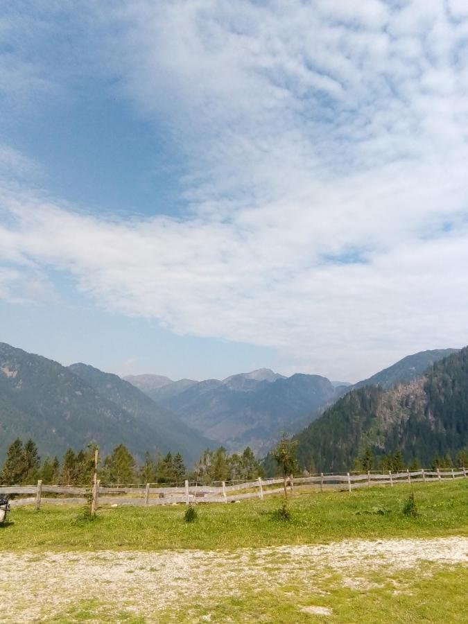 B&B Pra' Dei Cervi Telve Exteriör bild