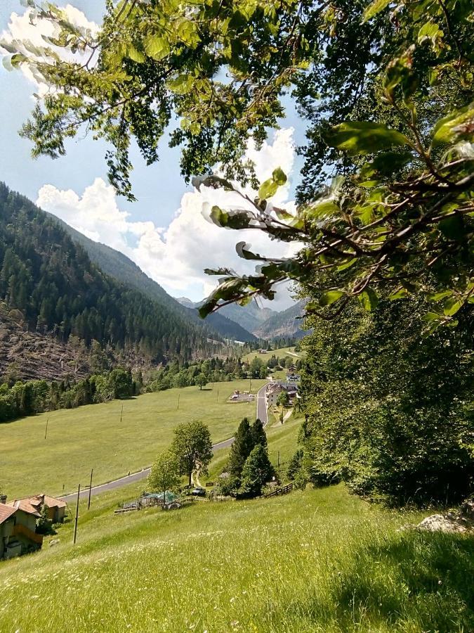 B&B Pra' Dei Cervi Telve Exteriör bild