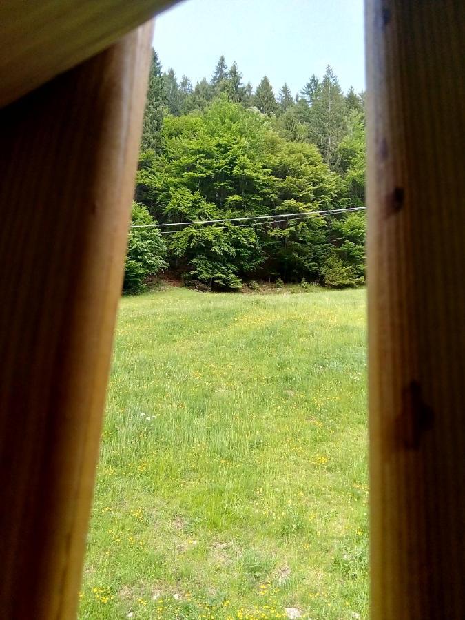 B&B Pra' Dei Cervi Telve Exteriör bild
