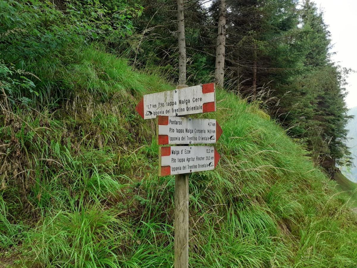 B&B Pra' Dei Cervi Telve Exteriör bild