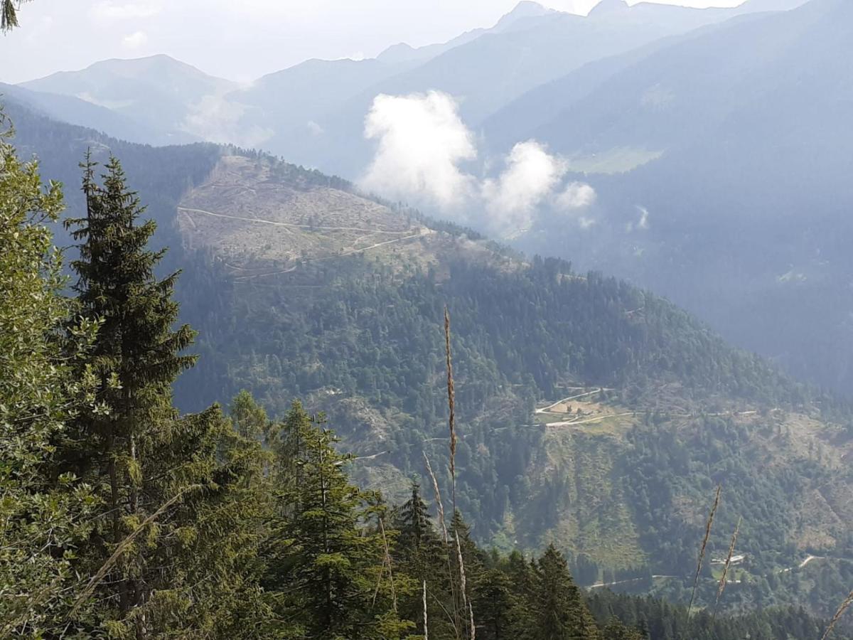 B&B Pra' Dei Cervi Telve Exteriör bild