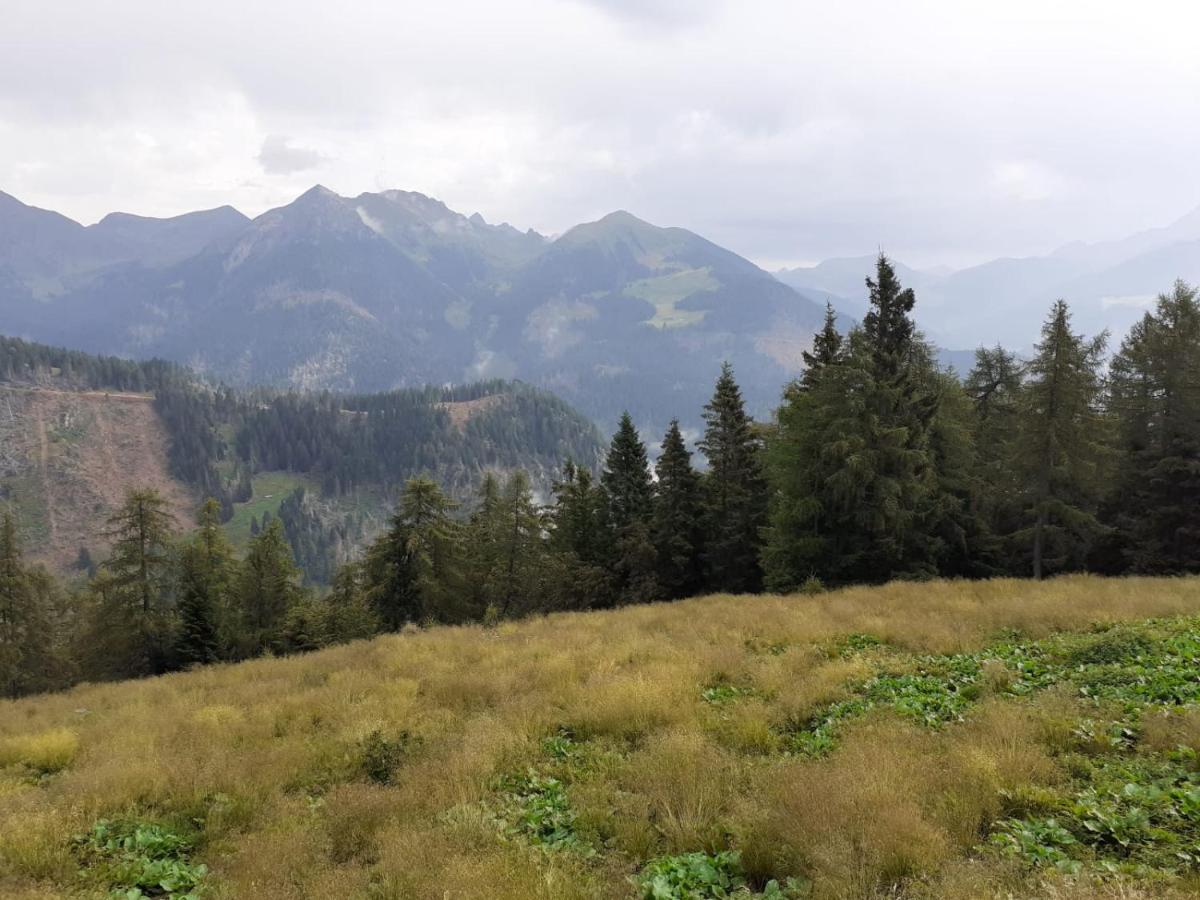 B&B Pra' Dei Cervi Telve Exteriör bild