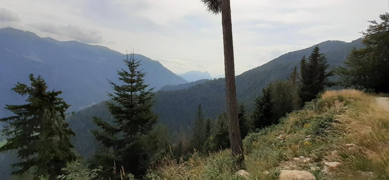 B&B Pra' Dei Cervi Telve Exteriör bild