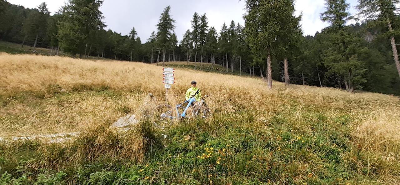 B&B Pra' Dei Cervi Telve Exteriör bild