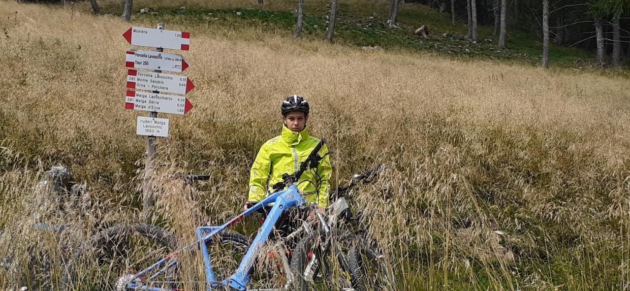 B&B Pra' Dei Cervi Telve Exteriör bild